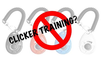 Why Are You Against Clicker Training - Robert Cabral Dog Training Video