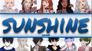 Liam Payne - Sunshine - If It Were Sung By A Collab Colour-Coded Lyrics