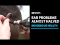 First Nations&#39; children experience fewer hearing issues | ABC News