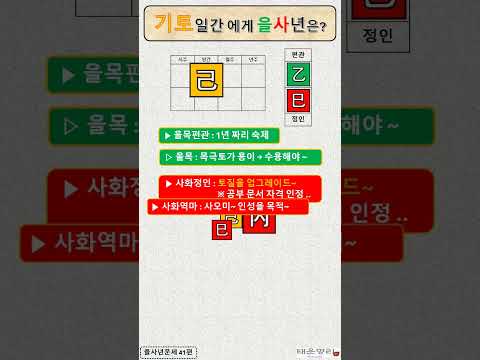 기토일간 을사년의 의미 살인상생 을사년운세 41편 사주명리 사주팔자 사주풀이 운세 2025 을사년 운세 을사년 기토 사주명리학독학