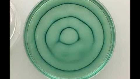 Formation and evolution of spatiotemporal patterns (depth = 7.0 mm)