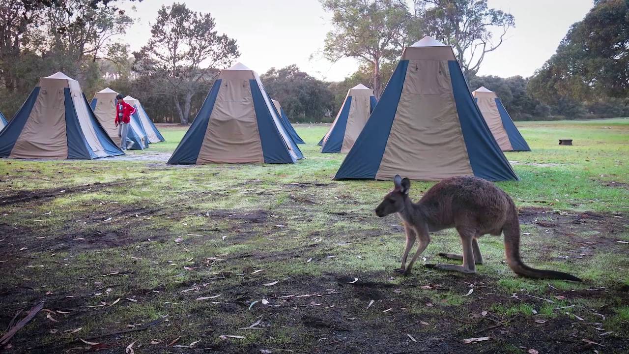 sorry day poem Indigenous Cultural Capabilities Framework