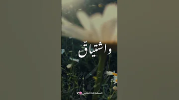 يا رسول الله قلبي لم يزل باسمك يشدو اللهم صل وسلم على نبينا محمد يوم الجمعة اناشيد اكسبلور 