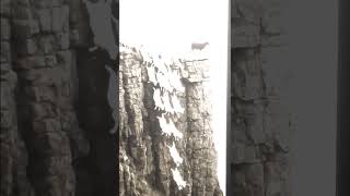 Kültürsüz, cahil kimdir? Kültürlü ya da entelektüel insan kimdir?  Amacında ve araçlarında otonom