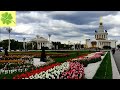 Москва. Тюльпаны на ВДНХ (18.05.2022)