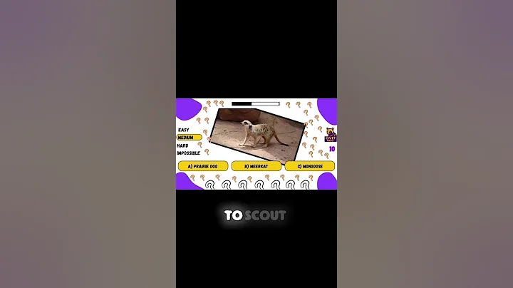 Think you know animals? Let’s find out! #brainteaser #civetquiz #guesstheanimal #quiz