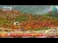 ニュース