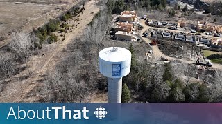 Should housing be built on Ontario’s Greenbelt? | About That