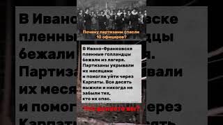 Украинские партизаны спасают голландцев #партизаны #Украина #история