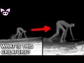 Watch Scary Videos LIVE! Ghosts, Cryptids, Shadow Figures and More!