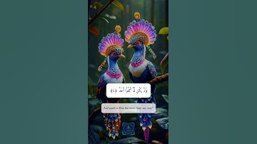 سورة الإخلاص #الله #القرآن #فيروسي #فيديو فيروسي #فيديو فيروسي على يوتيوب #فيديو رائج #سورة الإخلاص