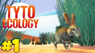 BUILDING OUR OWN ECOSYSTEM | Tyto Ecology (Week 1)