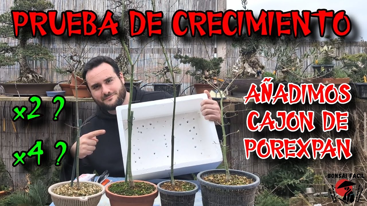 MACETA Vs COLADOR Vs CAJON POREXPAN - Arces Arakawas