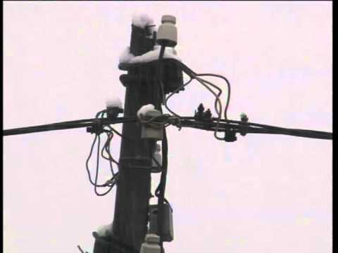 უამინდობამ ზუგდიდის მუნიციპალიტეტის 5 1 78 აბონენტი ელ. ენერგიის გარეშე დატოვა.