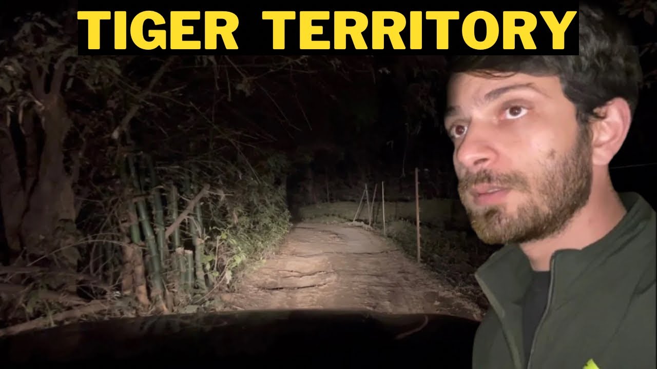 Dhela TIGER Attack wali jagah gaye or ?? | Night Drive into the dense forest | Jim Corbett