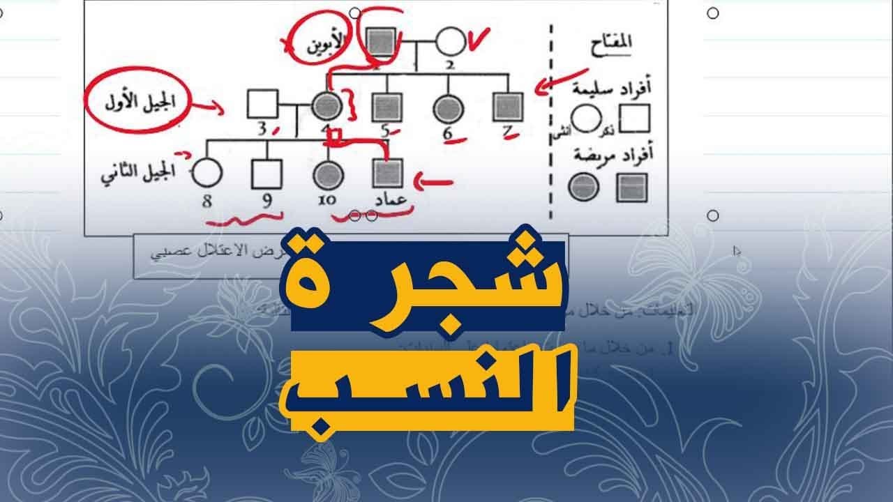 علوم طبيعية للسنة الرابعة متوسط وضعية على الامراض الوراثية و شجرة النسب