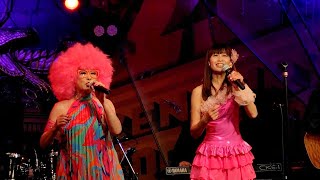 【完全版】SHOCKING PINK Live at Hrajuku Crocodile 10th May 2024 film editor Hamakaze KURO #昭和歌謡 #ピンクレディー