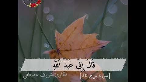 سورة مريم اية ٣٠