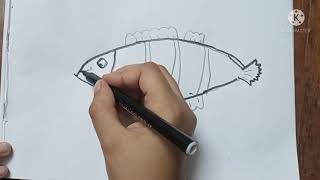رسم سمكة جميلة ببساطة