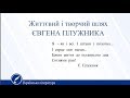 Життєвий і творчий шлях ЄВГЕНА ПЛУЖНИКА. Українська література 11 клас