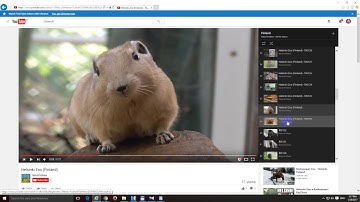 YouTube keyboard shortcut for Previous and next Video in a Playlist