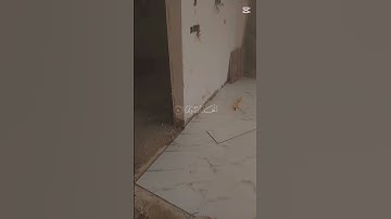 #اكسبلور #تلاوة_خاشعة