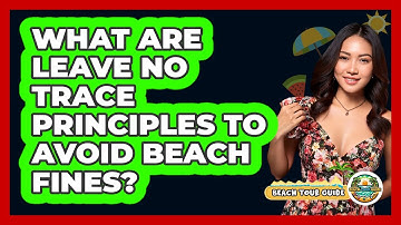 What Are Leave No Trace Principles To Avoid Beach Fines? - Beach Tour Guide