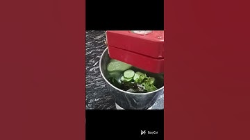 #cucumbermintlemonade#glowingskin#trendingshorts #trending #viralshorts #cucumberjuice#trend