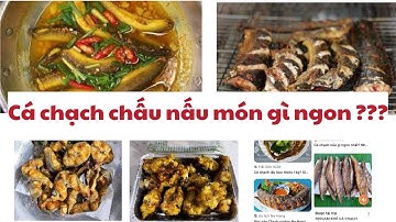 CÁ CHẠCH CHẤU LÀM MÓN GÌ NGON  ???