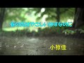 春の雨はやさしいはずなのに   小椋佳