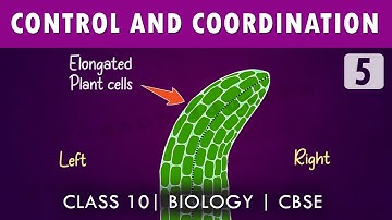 #controlandcoordination  | 10th Biology #CBSE | NCERT class 10 science | Chapter 7 part-5