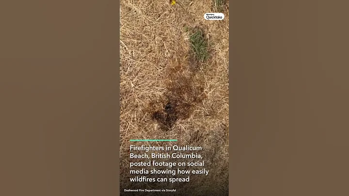 This Is How Easily Wildfires Can Spread