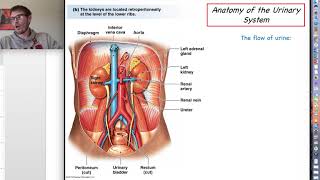 Celebrity Human Physiology - Urinary System - Ch  25 Lecture Part 1 Wealth
