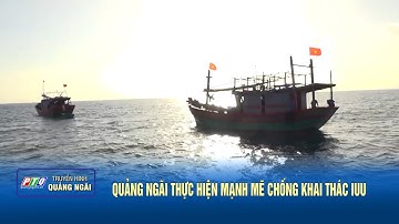 Quảng Ngãi thực hiện mạnh mẽ chống khai thác IUU | PTQ