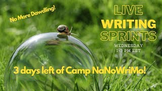 Live Writing Sprints / No More Dawdling! / 3 Days left of Camp NaNoWriMo!