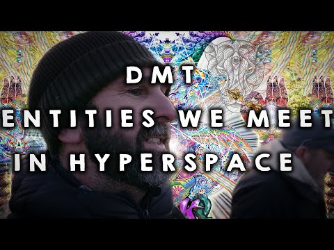 The entities we meet in DMT hyperspace
