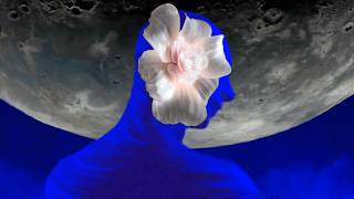 Routine: The Moon is Pregnant