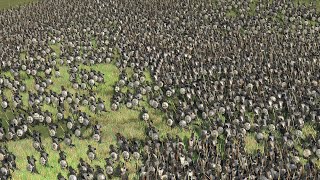 ROME Defends AGAINST PERSIAN INVASION (58K Men Battle) - Total War ROME 2