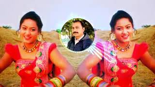CG song Chhaila Babu aahi Pardesi Babu aahi