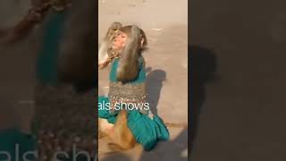 Please stop this.. #shots #islamic #monkeydance