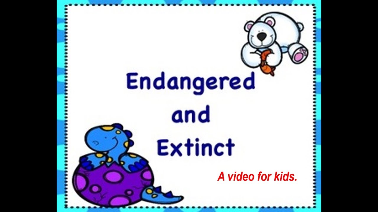 Endangered and Extinct Animals :Video for Kids - YouTube