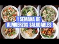 UNA SEMANA DE ALMUERZOS SALUDABLES Y DELICIOSOS | Michela Perleche