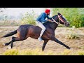 Apra jalandhar horse racing  3 april 2024