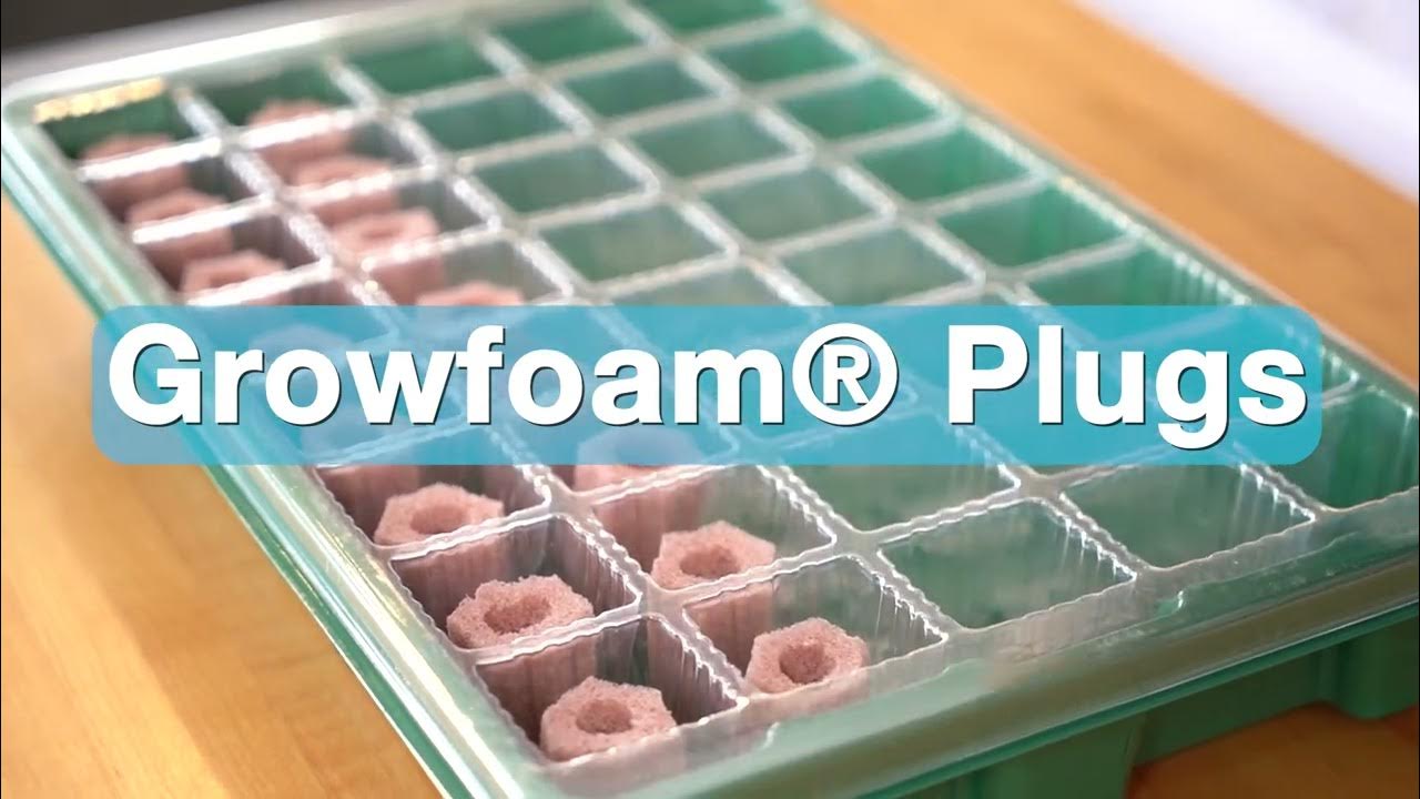 How to germinate seeds with your Vanten hydroponic system. YouTube