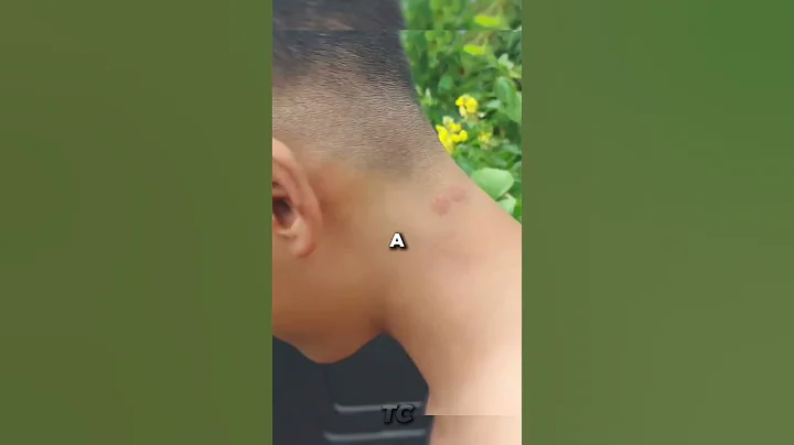 Paintball vs Airsoft – Which One Actually Hurts More? 💥😬