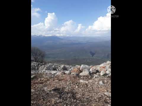 Ayse şan Eywax Daye