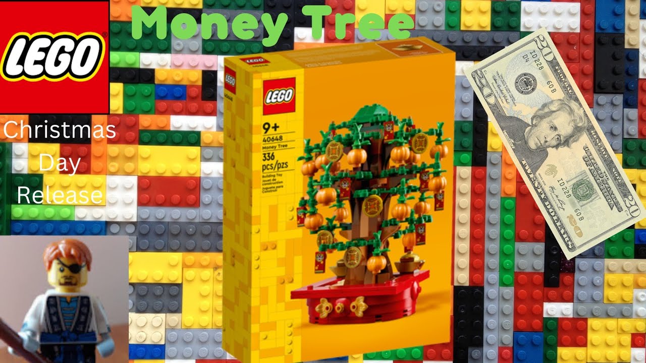 money tree plants near me Pachira aquatica (money tree) – Plant Material