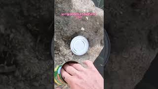 Most Underrated Freshwater Fish?