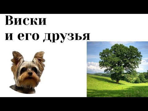 Производство виски. Влияние бочки при созревании виски. Часть 1.