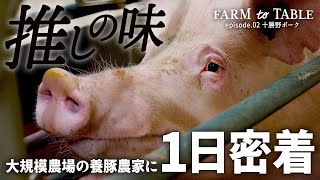 【密着】大規模農場を持つ養豚農家の1日！？こだわり抜いたお気に入りの豚肉とは？